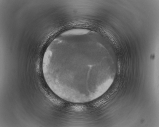 X0000116800404201001291544
