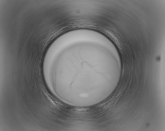 X0000116800405201001291544