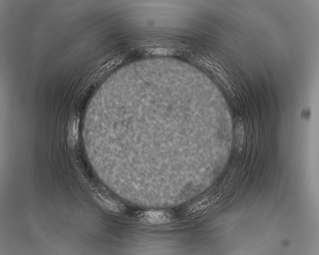 X0000116800406201001291544