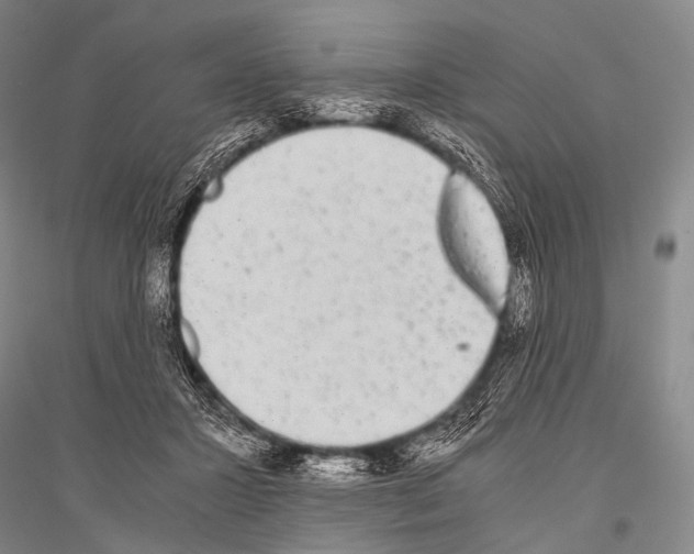 X0000116800407201001291544