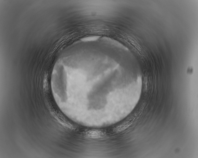 X0000116800408201001291544