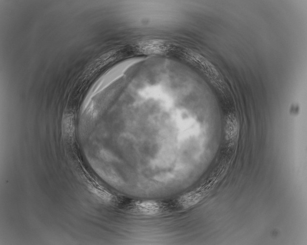 X0000116800409201001291544