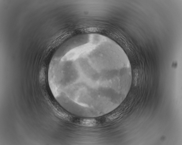 X0000116800410201001291544