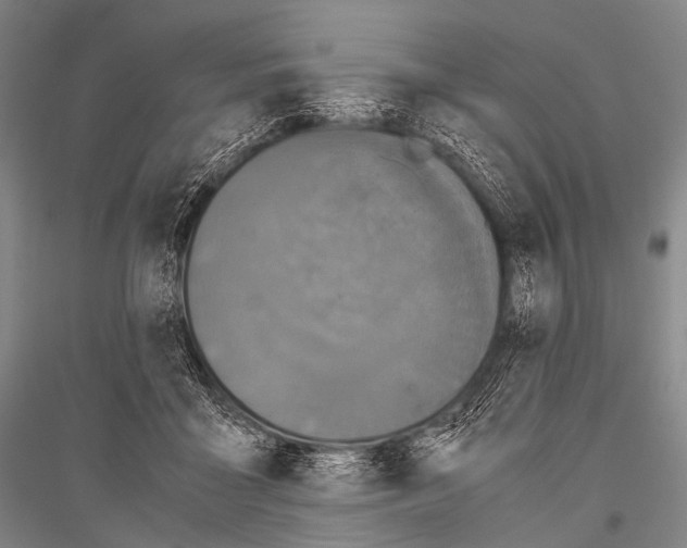 X0000116800411201001291544