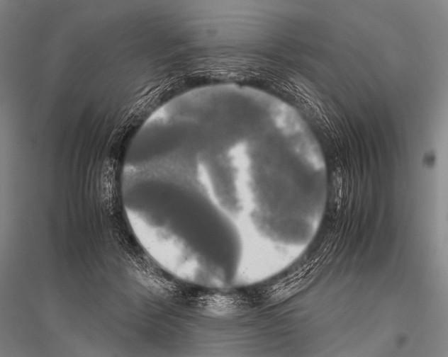 X0000116800412201001291544