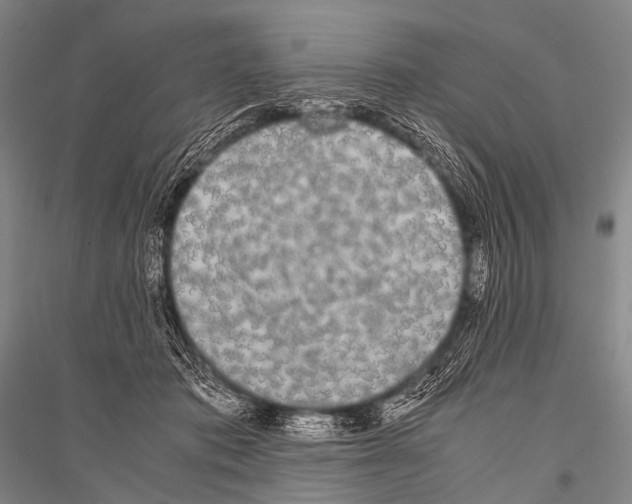 X0000116800413201001291544