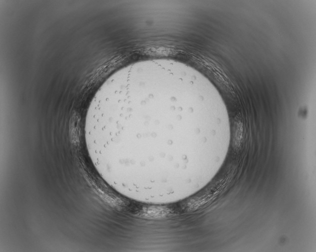 X0000116800414201001291544