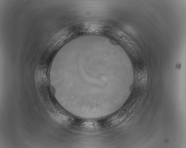 X0000116800415201001291544