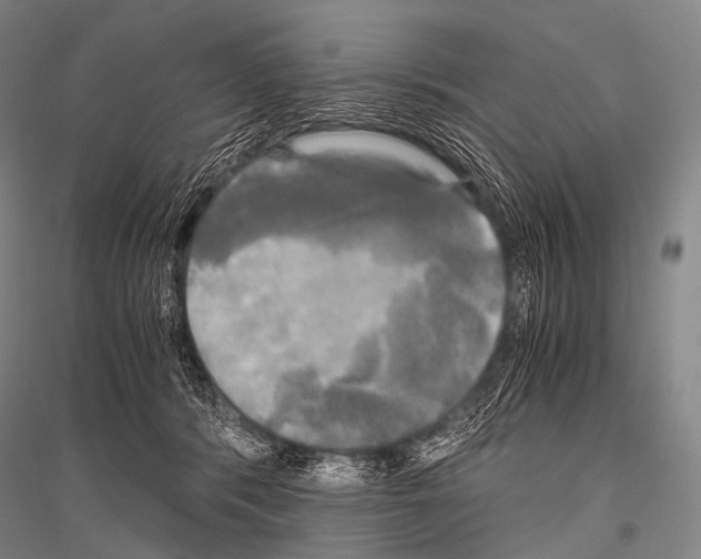 X0000116800416201001291544