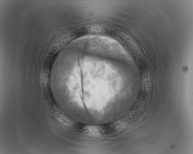 X0000116800417201001291544