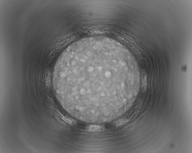 X0000116800418201001291544