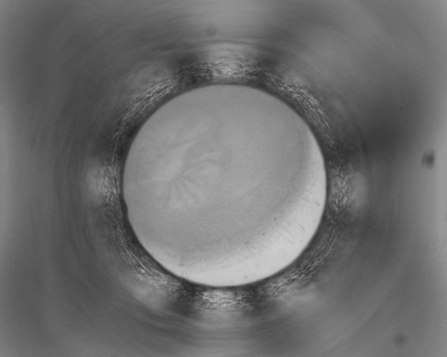 X0000116800419201001291544