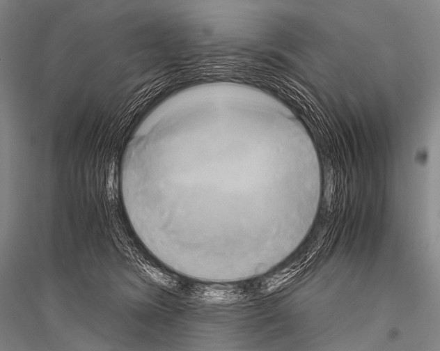 X0000116800420201001291544