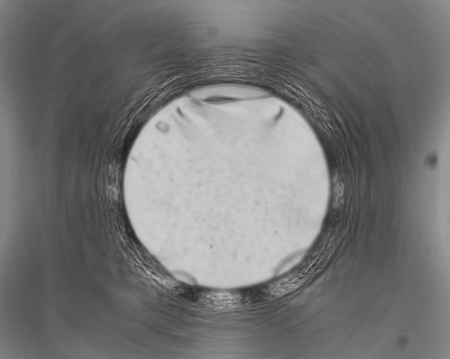 X0000116800421201001291544