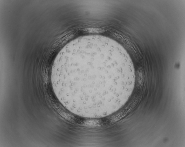 X0000116800422201001291544