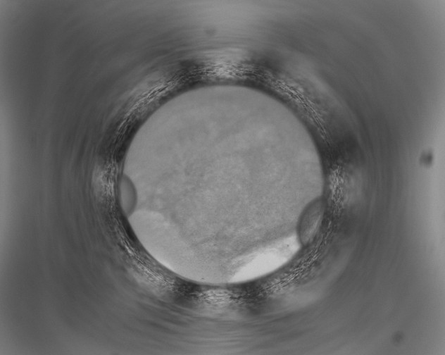 X0000116800423201001291544