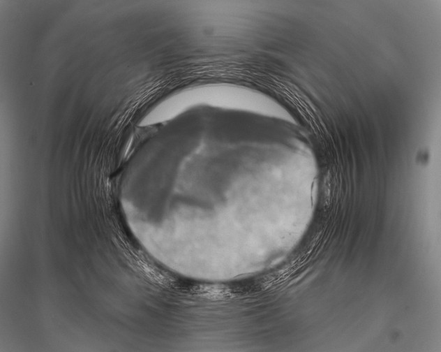 X0000116800424201001291544