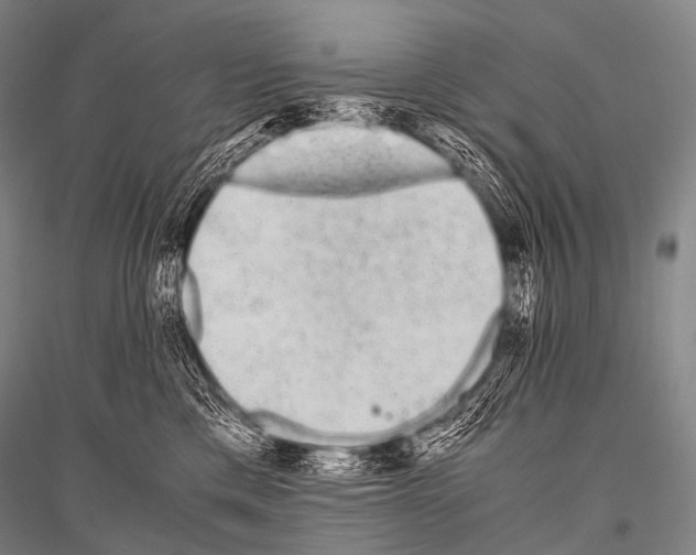 X0000116800425201001291544