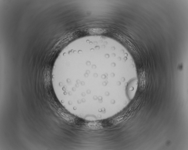 X0000116800426201001291544
