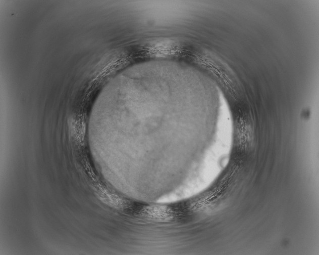 X0000116800427201001291544