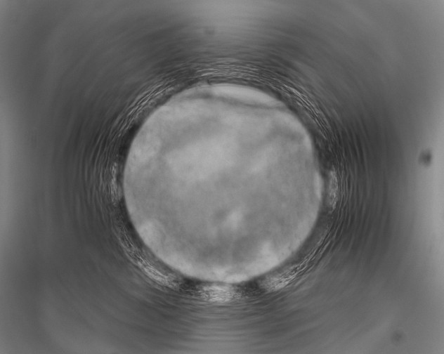 X0000116800428201001291544