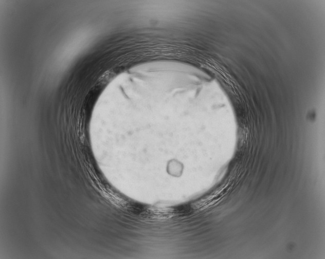 X0000116800429201001291544