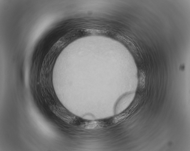 X0000116800430201001291544