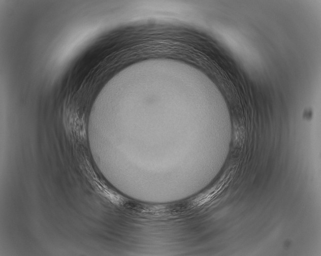 X0000116800431201001291544