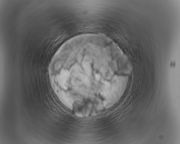 X0000116800432201001291544