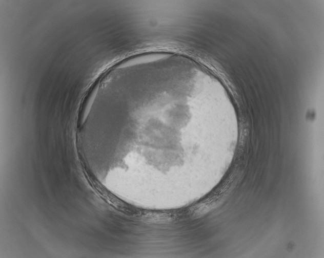 X0000116800434201001291543