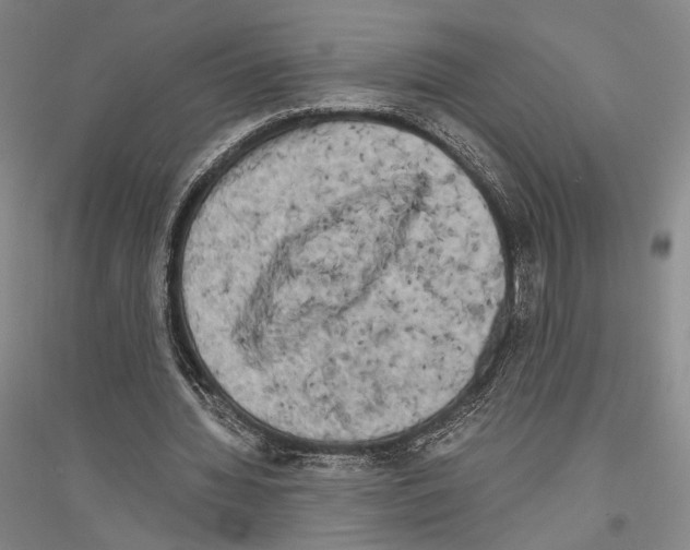 X0000116800436201001291543