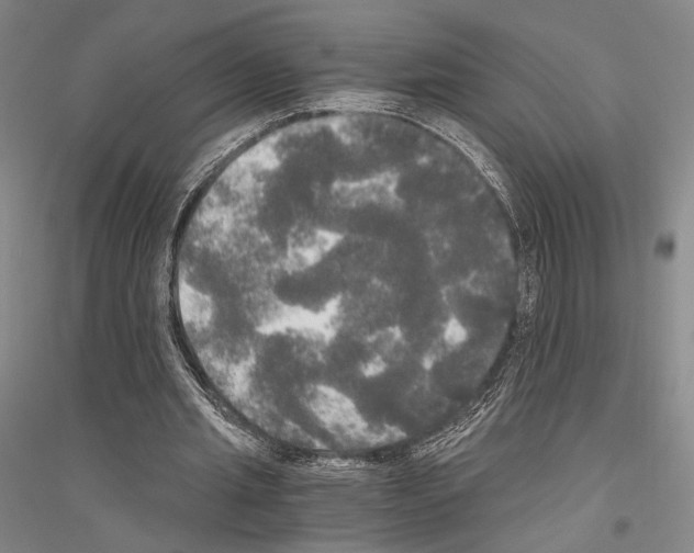 X0000116800437201001291543