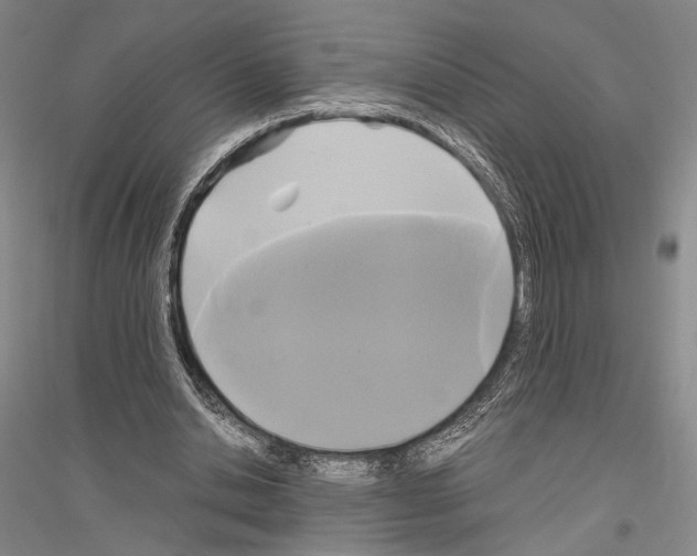 X0000116800438201001291543
