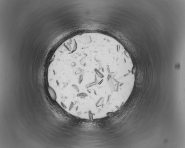 X0000116800440201001291543