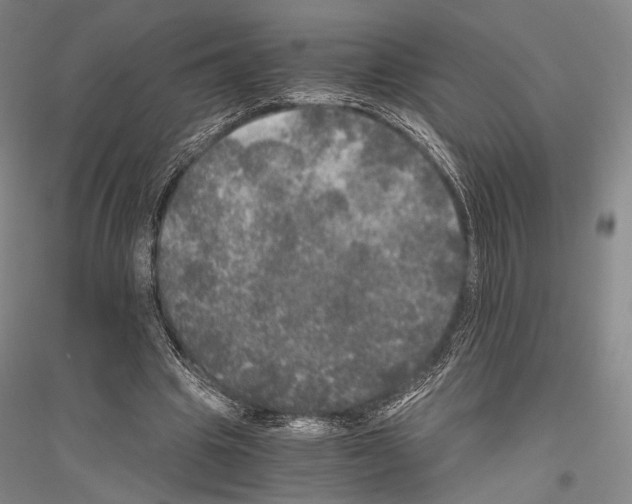 X0000116800441201001291543
