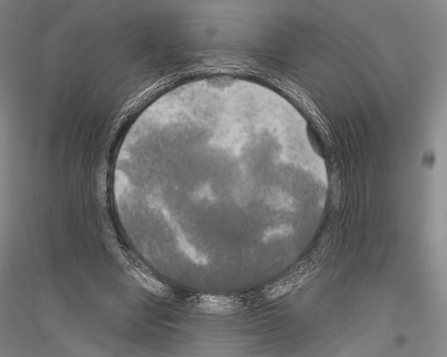 X0000116800442201001291543
