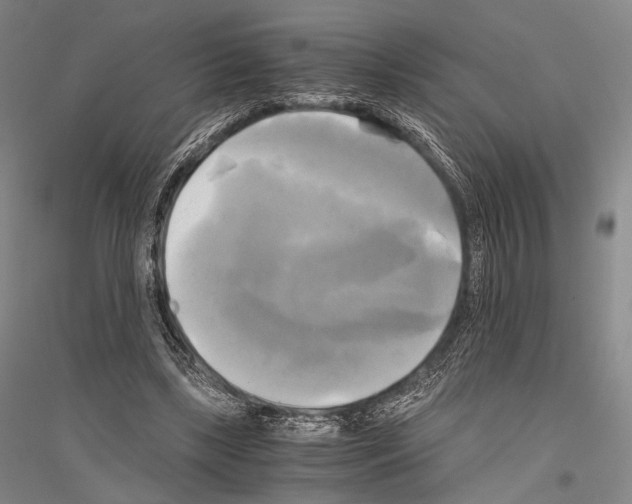 X0000116800443201001291544