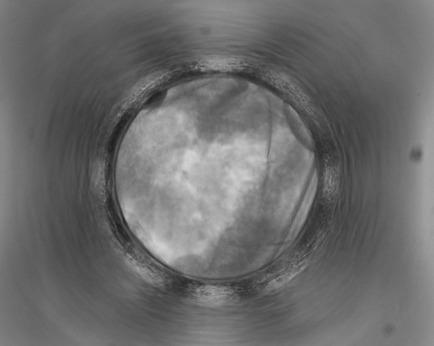 X0000116800444201001291544