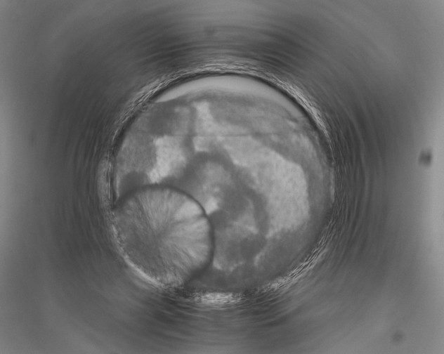 X0000116800445201001291544