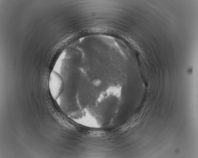 X0000116800446201001291544