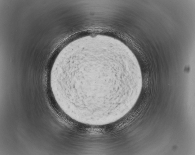 X0000116800448201001291544