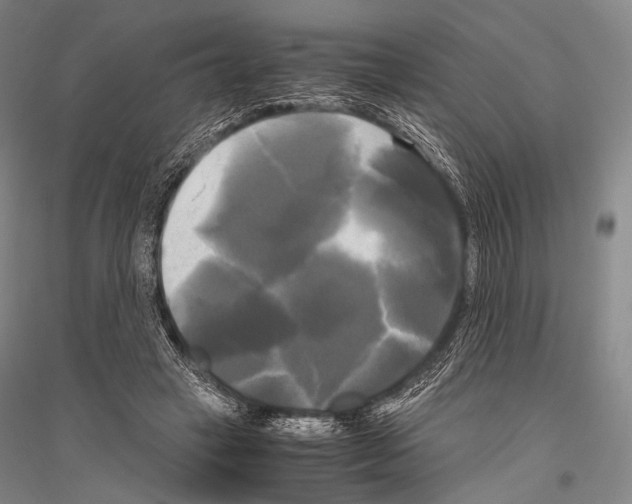 X0000116800449201001291544