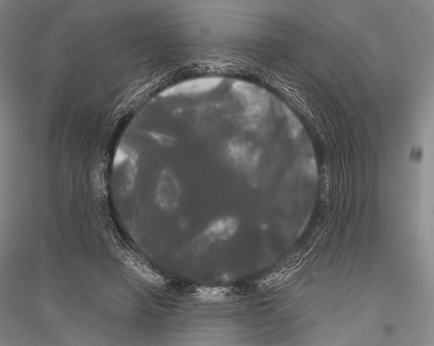 X0000116800450201001291544