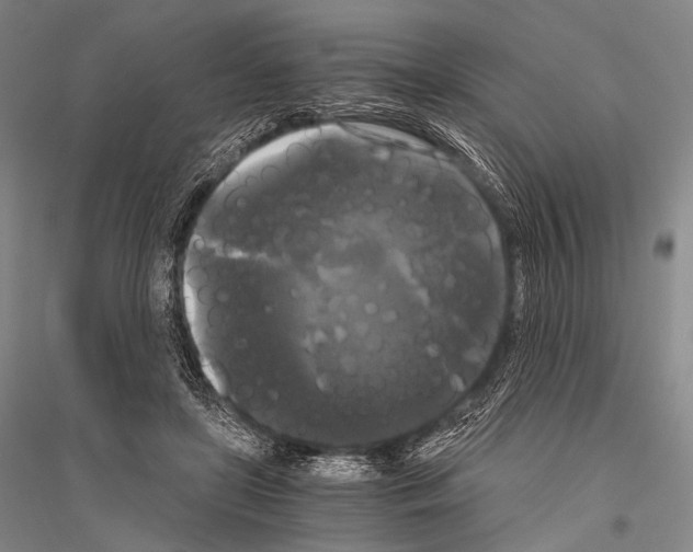 X0000116800451201001291544