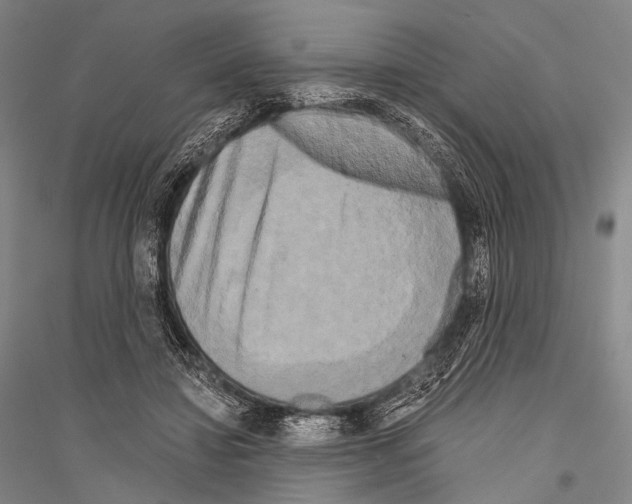 X0000116800452201001291544