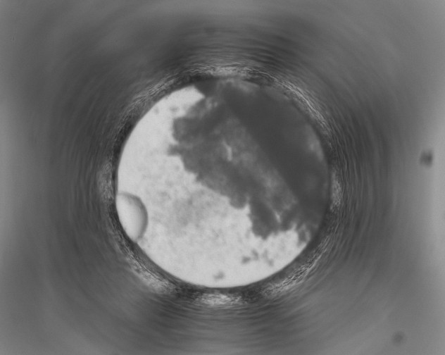 X0000116800453201001291544