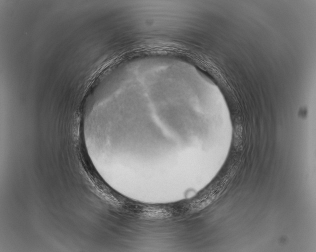X0000116800454201001291544