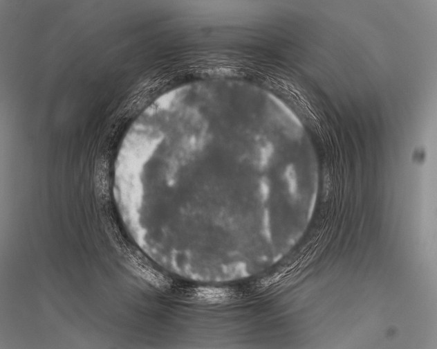 X0000116800457201001291544