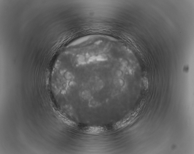 X0000116800458201001291544