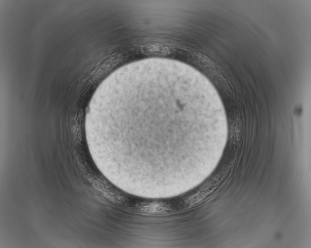 X0000116800460201001291544